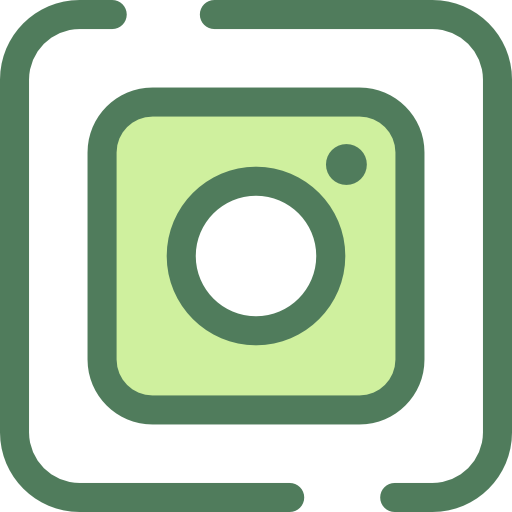 Icone Instagram