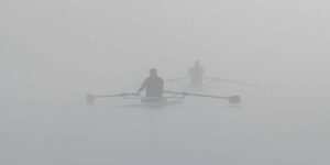 Autre vivant & Ambiance